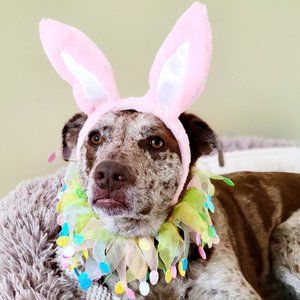 Meet your Posher, Kara